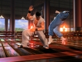 Virtua Fighter 5 se précise en images