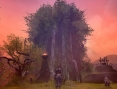 Aion s'envole en images