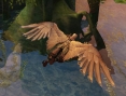 Aion s'envole en images