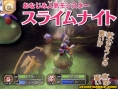 Dragon Quest Swords : plus d'images