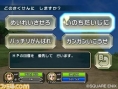 Dragon Quest Swords : plus d'images