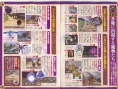 Dragon Quest Swords : plus d'images