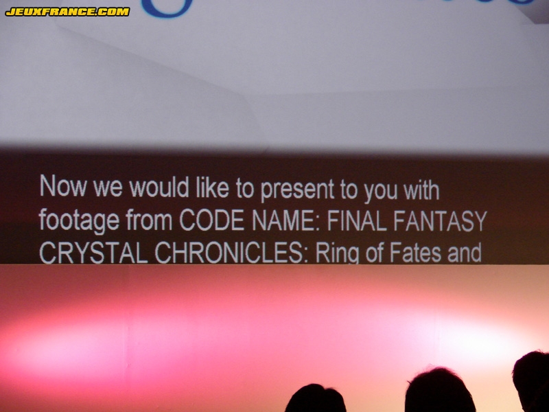 FF Crystal Chronicles sur Wii et DS