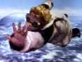 FFCC : The Crystal Bearers se dévoile