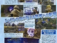 FFCC Crystal Bearer: new images