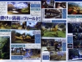 Final fantasy CC Crystal Bearers: encore du chocobo