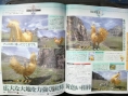 Famitsu : Final Fantasy XIII (images)