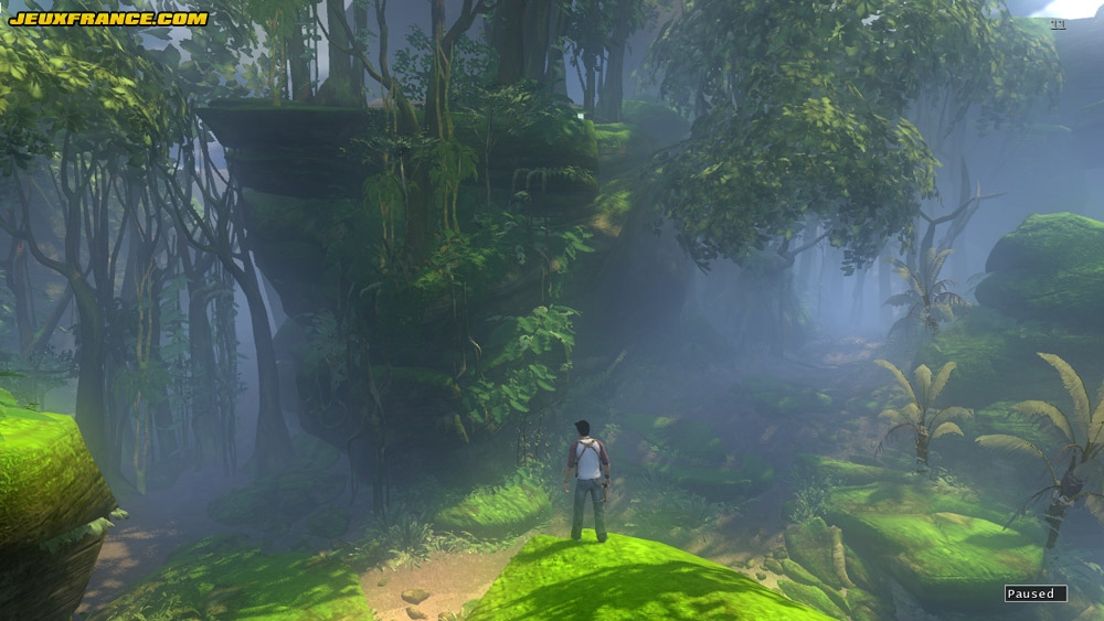 Drake's Fortune en images
