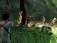 Drake's Fortune s'illustre
