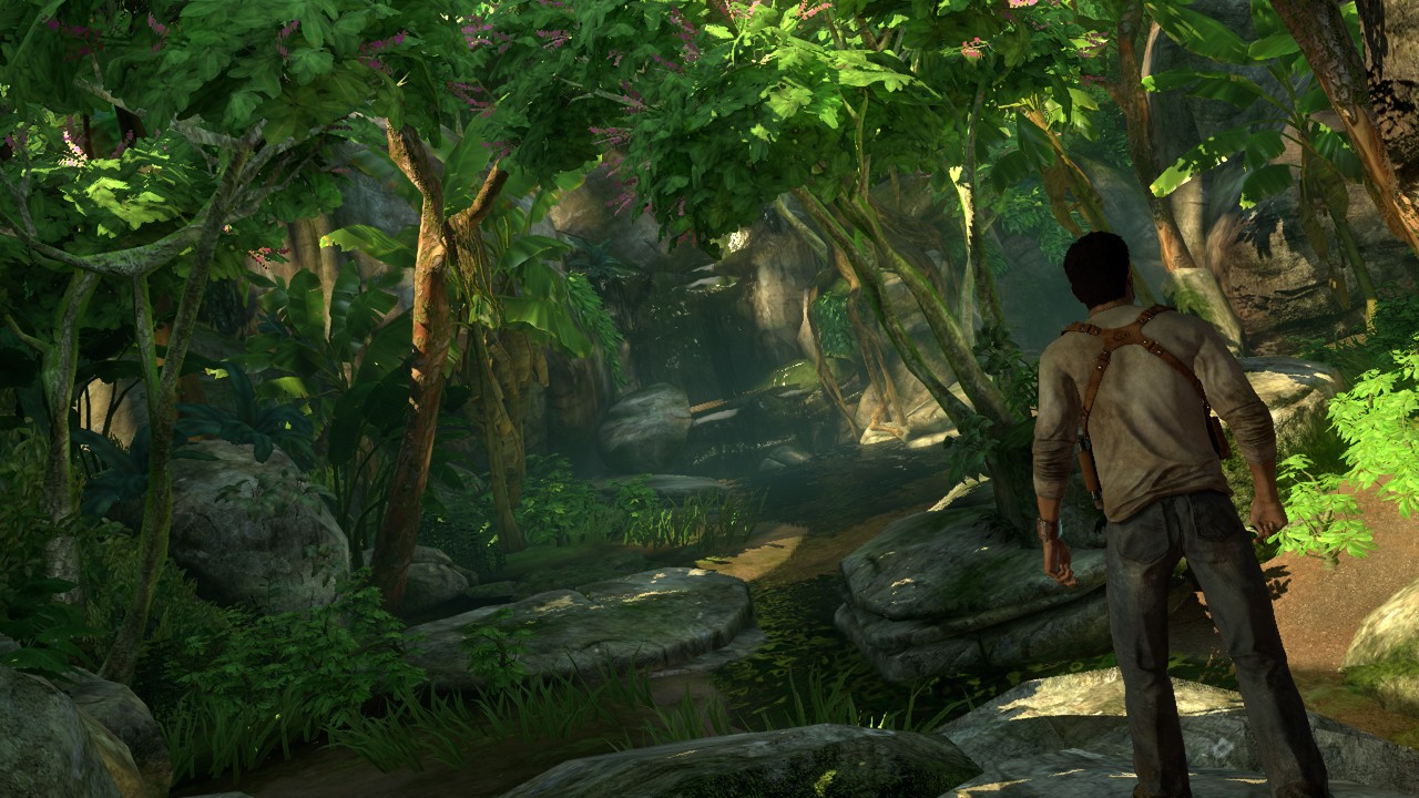 Drake's Fortune prend la pose
