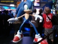 Sonic Wild Fire