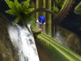 Sonic fonce sur Wii