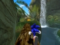 Sonic fonce sur Wii