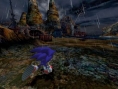 Sonic fonce sur Wii