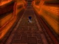 Sonic Wii : plus d'images