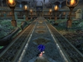 Sonic Wii : plus d'images