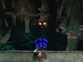 Sonic Wii : plus d'images