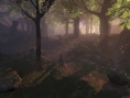 Fable 2 : nouvelles images