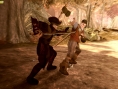 Fable 2 : new images