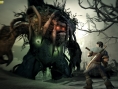 Fable 2 : new images