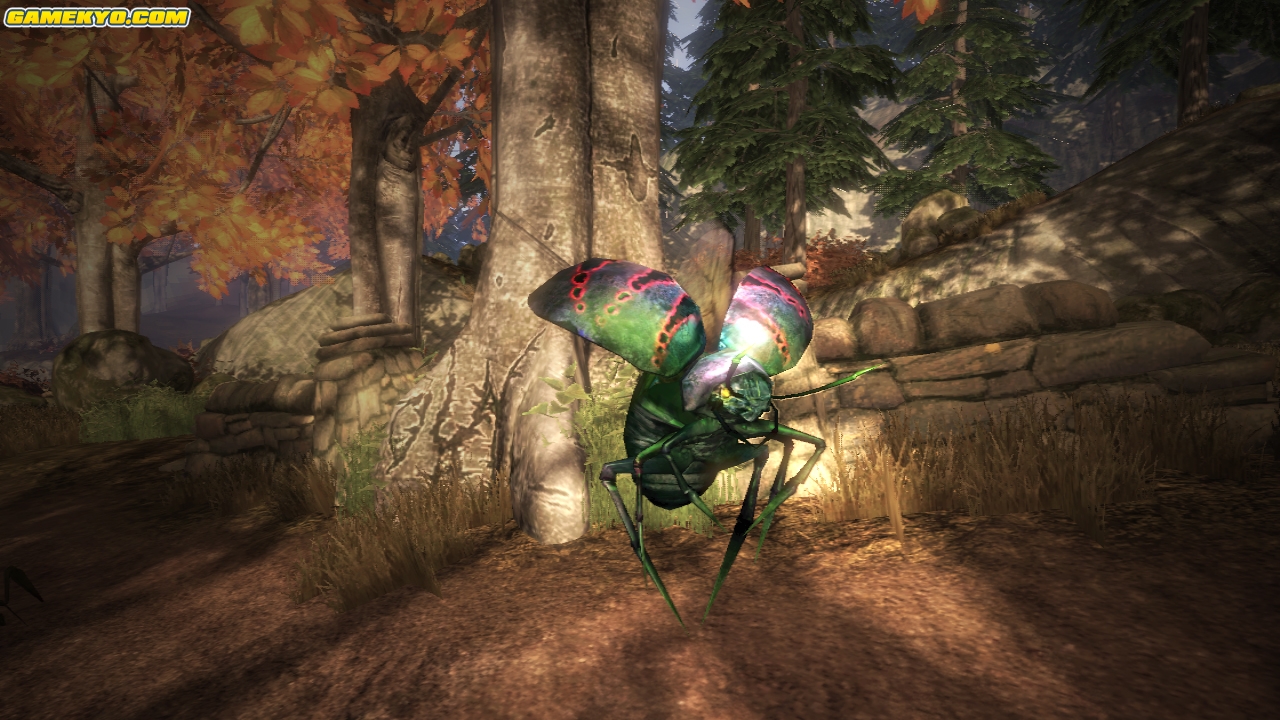 Fable 2 : nouvelles images