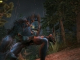 Fable 2 to not feature online co-op at launch