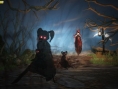 Fable 2 to not feature online co-op at launch