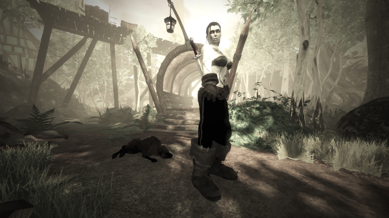Fable 2 : co-op right off the bat and new screenshots