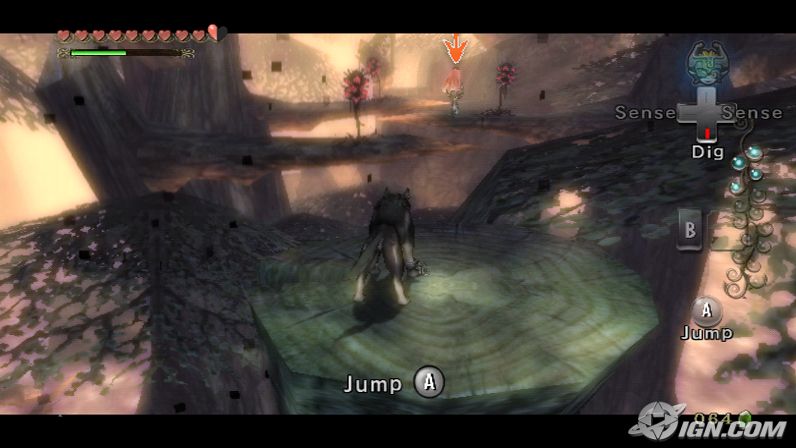 Zelda : Twilight Princess en action