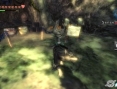Zelda : Twilight Princess en action