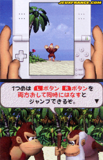DK : King of Swing DS en images