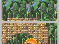DK : King of Swing DS en images