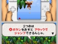 DK : King of Swing DS en images