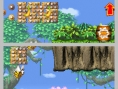 DK : King of Swing DS en images