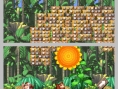 DK : King of Swing DS en images