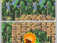 DK : King of Swing DS en images
