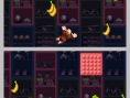 DK : King of Swing DS en images