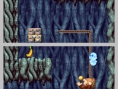 DK : King of Swing DS en images