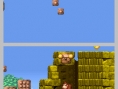 DK : King of Swing DS en images