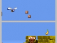 DK : King of Swing DS en images