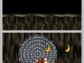 DK : King of Swing DS en images