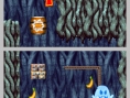 DK : King of Swing DS en images