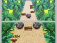 DK : King of Swing DS en images