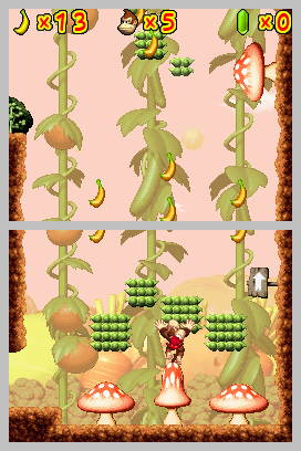 DK : King of Swing DS en images