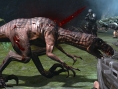 Turok : nouvelles images