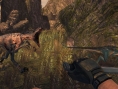 Turok shoot en images