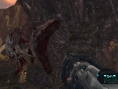 Turok shoot en images