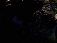 Turok en mission