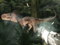 Turok se prépare en images