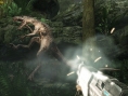 Turok se prépare en images